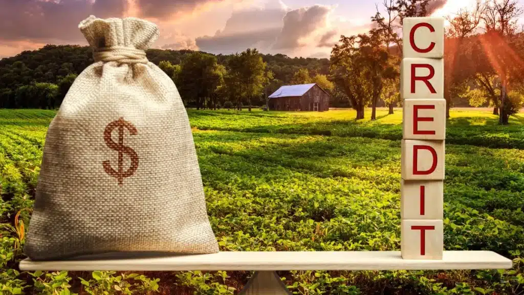  crédito rural para pequeno produtor