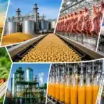 20 exemplos de agroindústria que movimentam bilhões e transformam o agronegócio