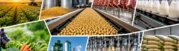 20 exemplos de agroindústria que movimentam bilhões e transformam o agronegócio
