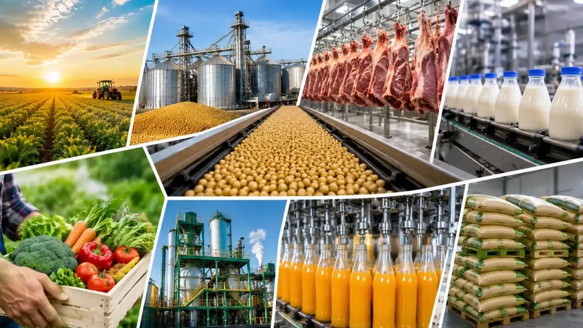 20 exemplos de agroindústria que movimentam bilhões e transformam o agronegócio