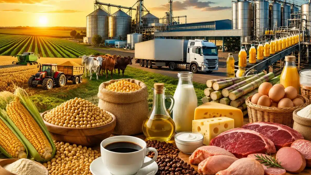 A transformação do campo à indústria Conheça os principais produtos agroindustriais produzidos na agroindústria brasileira