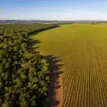 Crédito rural e PRODES: o que você precisa organizar antes de 2027 para não travar o financiamento