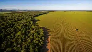 Crédito Rural e PRODES: O Que Muda a Partir de 2027