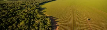 Crédito Rural e PRODES: O Que Muda a Partir de 2027