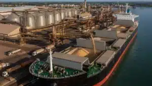 Exportação de Soja do Brasil Supera 73,9 Mi de Toneladas