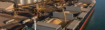 Exportação de Soja do Brasil Supera 73,9 Mi de Toneladas