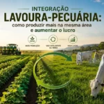 Integração Lavoura-Pecuária: como produzir mais na mesma área e aumentar o lucro