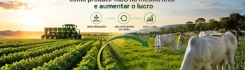 Integração Lavoura-Pecuária: como produzir mais na mesma área e aumentar o lucro