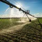 Irrigação no Brasil: por que administrar bem a água decide o futuro da sua produtividade