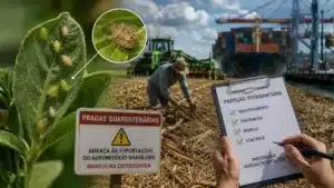 Pragas quarentenárias ameaçam exportações do agronegócio brasileiro e exigem manejo na entressafra