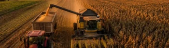 Colheita de milho acelera em julho e aumento da oferta pode pressionar os preços no Brasil