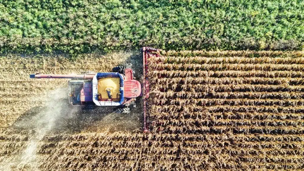qual a importância da agricultura