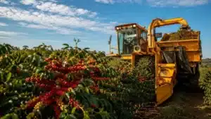 Colheita de Café 2026/27: Atraso Preocupa, Mercado Segue Volátil e El Niño Entra no Radar
