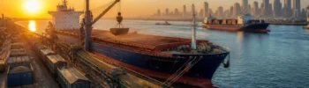 Índia passa a ser grande mercado para o agronegócio brasileiro