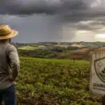 O seguro rural que sobrou pra 2,78% do campo brasileiro