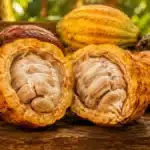 Preço do Cacau Segue Acima de US$ 5 Mil e Mantém Pressão Sobre o Chocolate