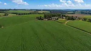 Seguro Rural no Paraná: 99% das Propriedades Estão Aptas