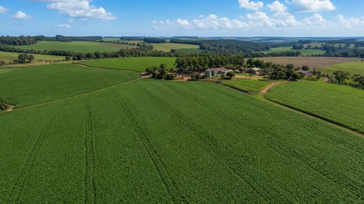 Seguro Rural no Paraná: 99% das Propriedades Estão Aptas