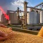 Agroindústria Brasileira Recua 0,9% em Junho: Insumos Caem e Segundo Semestre Começa Com Alerta