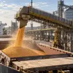 Exportações de Milho Disparam em Agosto: 1,18 Milhão de Toneladas em Apenas 5 Dias