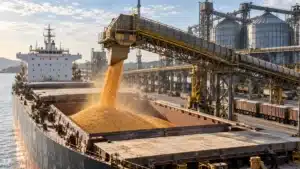 Exportações de Milho em Agosto 2026: 1,18 Mi de Toneladas em 5 Dias