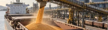 Exportações de Milho em Agosto 2026: 1,18 Mi de Toneladas em 5 Dias