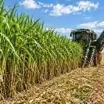Como a Tereos Mapeou 162 Mil Hectares de Solo Para Produzir Mais Cana Com Menos Desperdício