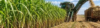Mapeamento de Solo na Cana: Como a Tereos Usa Dados Para Produzir Mais