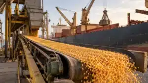 Exportações de Milho em Agosto 2026: 2,2 Mi de Toneladas e Ritmo Menor