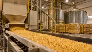 Produção de Rações Cresce 5,4% e Pode Superar 98 Mi de Toneladas