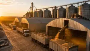 Comercialização da soja chega a 88,7% no Brasil