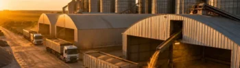 Comercialização da soja chega a 88,7% no Brasil