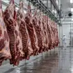 Exportação de carne para a UE trava e expõe fragilidade do agro brasileiro