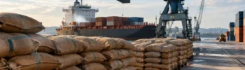 Exportações de café batem recorde em agosto