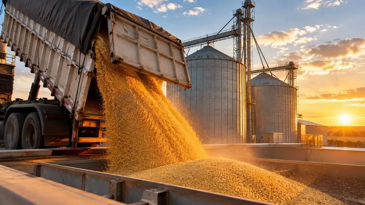 Preço da soja em alta sobe 7% no mês