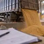 Reforma tributária no agronegócio pode travar cerealistas e cooperativas