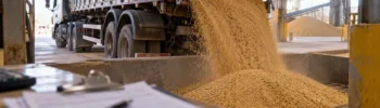 Reforma tributária no agronegócio trava cerealistas