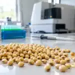 Análise genética de sementes de soja: como o teste de DNA reduz riscos na safra 2026/27