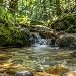 Crime ambiental na propriedade rural: três práticas comuns que podem gerar multa