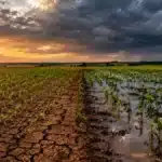 El Niño 2026/27: veja o que a Embrapa recomenda para cada região do Brasil