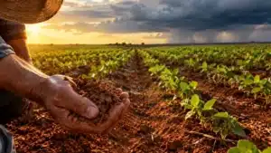 El Niño na safra 2026/27: chuva, plantio e riscos