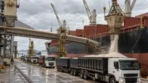 Fertilizantes para Safra 26/27: Nitrogênio e Fósforo em Alerta